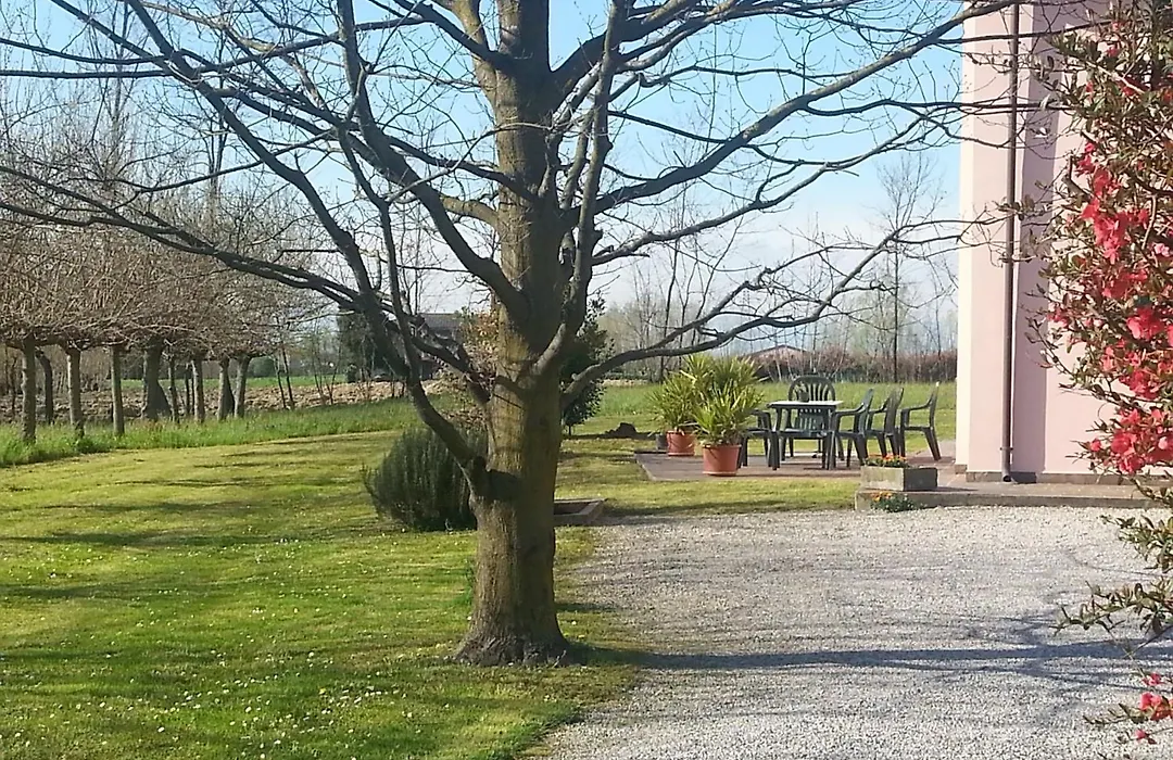 Casarosa B&B-1
